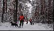 Tomek z Micha�em od�nie�aj� las