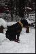 Grom t�skni za Ark�