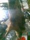 ot taki z watachy 8 szt mi si� nawino� 