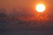 Zimowy wsch�d s�o�ca, - 13 C - jest dobrze, 