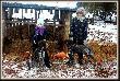 NEFRA Hubert�wka znad Parsety (Archie Keiviento x Fiona Kajminia) & Fiona