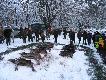 Pokot taki jak wida�...