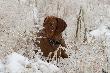 Suka (ja zreszt� te�) widzia�a takie zjawisko kiedy wszystko d�wi�czy i wszystko sie �amie.