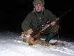 26.01.2013r kolejny mykita jak zwykle na predatora i pisk myszy.