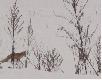 ostatnio jest u mie plaga lis�w a� podchodz�d pod dom i sie nie boj� 