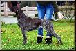 Sz�sta zona Arta :) - DUMKA v.d. Waltakke