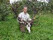 Niebawem oficjalna wycena medalowa tego wspania�ego,legendarnego byka.Prezentowany by� na �amach "�owca Polskiego".12,83 kg,ok.230 pkt.CIC.Zachodniopomorskie.