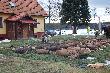 Na polskiej ziemi spod ruskich ps�w, strzelali Niemcy