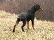 20.02 sko�czy p� roku