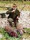 By�o ich kilka w wataszce. Wybra�em jednego i pud�o. Do nast�pnych przy�o�y�em si� lepiej. Oba strza�y za tzw. ucho. Pierwszy w zyciu dublet i kr�l polowania:)