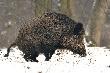 To dla tych kt�rzy wstali dzisiaj lew� nog� ...U�miechnij si�  :-) 