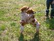 Emi i Molier, mi�o�� od I spotkania :)