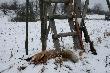 16.02.13 pies pozyskany z podchodu(11-ty rudy w sezonie)