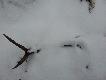 20.02.2013.i �wie�y dwunastak waga 2,40kg.