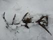 20.02.2013.i �wie�y dwunastak waga 2,40kg.