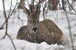 Ch�opak zadowolony :-)