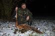 Wyje�d�aj�c wczoraj na polowanie specjalnie zabra�em aparat z my�l�,�e strzel� kabanka.Ale jak to zwykle bywa,na polowaniu nie ma nic pewnego.Na pocieszenie pojawi�a si� "oheblowana" liszka i nam�wi�em ja do zapozowania do fotki.Brakuje mi jeszcze jeden rudzielec i b�dzie jubileuszowy okr�g�y wynik.Jaki ???