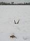 Zrzut le�a� min.2 dni.22 luty 2013.