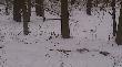23.02 obch�d pa�nik�w i taki widok zasta�em przy drodze :)