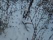 A to ju� 20.02.13 kolejny dwunastak:)
