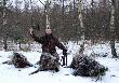 Chyba jedno z najpi�kniejszych polowa� jakie prze�y�em. Pogoda wymarzona, bia�o wsz�dzie a do tego blask ksi�yca. Poprzednie dwie noce na kukurydzisku sko�czy�y si� bez strza�u. Spotka� z dzikami mia�em kilka. Zabrak�o odrobiny szcz�cia. Postanowi�em, �e tej nocy te� si� tam wybior�. Godzina 21:00. Pod��am drog�, granic� obwod�w do drabiny. Nie zd��y�em jeszcze doj��, gdy ku mojej rado�ci spostrzeg�em watah� dzik�w. Szybko zajmuj� miejsc�wk� licz�c na bliskie spotkanie. Nie trwa�o to d�ugo jak znalaz�y si� tu� ko�o mnie. Przedefilowa�y 30 metr�w od zwy�ki po ”obcym” obwodzie. Najmniejszy warchlak prowadzi� ca�� watah�. Troch� �miesznie to wygl�da�o. Podesz�y pod drog�, stan�y i ucich�y, co r�wnie� sprawi�o u�miech na mojej twarzy. Stara�y si� by� ostro�ne nie zdaj�c sobie sprawy �e s� obserwowane. Prowadz�cy wszed� na drog�, sprawdzi� i przeszed� przez ciary staj�c na skraju pola. Jeszcze raz sprawdzi�. Chwila, chrr- da� zna� i ruszy�y. Pokwikuj�c wychodz� na pole. Pi�kny widok, 13 sztuk w odleg�o�ci oko�o 60 metr�w. Same warchlaki. Wybieram przedostatniego. Opuszczam krzy� na s�uch i strzelam. Dzik wali si� w ogniu. Odskakuj� zdezorientowane nie wiedz�c sk�d pad� strza�. Staj� a ja ju� wypuszczam kolejn� kul�. Drugi pada podobnie strzelony. Ruszaj� tym razem zbite w kup�. Ostatni odstaje od nich, wybieram jego. Krzy� na prz�d komory i powoli �ci�gam spust. Strza�. Dzik roluje. Si�gam szybko do kieszeni po nast�pn� kul�. �aduj� i sk�adam si� do strza�u. Widz� tylko chwost ostatniego dzika, opuszczam bro�.