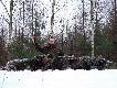 Kol. Troper masz ca�kowit� racj�. Ju� prostuj�, a by�o to tak...
Chyba jedno z najpi�kniejszych polowa� jakie prze�y�em. Pogoda wymarzona, bia�o wsz�dzie a do tego blask ksi�yca. Poprzednie dwie noce na kukurydzisku sko�czy�y si� bez strza�u. Spotka� z dzikami mia�em kilka. Zabrak�o odrobiny szcz�cia. Postanowi�em, �e tej nocy te� si� tam wybior�. Godzina 21:00. Pod��am drog�, granic� obwod�w do drabiny. Nie zd��y�em jeszcze doj��, gdy ku mojej rado�ci spostrzeg�em watah� dzik�w. Szybko zajmuj� miejsc�wk� licz�c na bliskie spotkanie. Nie trwa�o to d�ugo jak znalaz�y si� tu� ko�o mnie. Przedefilowa�y 30 metr�w od zwy�ki po ”obcym” obwodzie. Najmniejszy warchlak prowadzi� ca�� watah�. Troch� �miesznie to wygl�da�o. Podesz�y pod drog�, stan�y i ucich�y, co r�wnie� sprawi�o u�miech na mojej twarzy. Stara�y si� by� ostro�ne nie zdaj�c sobie sprawy �e s� obserwowane. Prowadz�cy wszed� na drog�, sprawdzi� i przeszed� przez ciary staj�c na skraju pola. Jeszcze raz sprawdzi�. Chwila, chrr- da� zna� i ruszy�y. Pokwikuj�c wychodz� na pole. Pi�kny widok, 13 sztuk w odleg�o�ci oko�o 60 metr�w. Same warchlaki. Wybieram przedostatniego. Opuszczam krzy� na s�uch i strzelam. Dzik wali si� w ogniu. Odskakuj� zdezorientowane nie wiedz�c sk�d pad� strza�. Staj� a ja ju� wypuszczam kolejn� kul�. Drugi pada podobnie strzelony. Ruszaj� tym razem zbite w kup�. Ostatni odstaje od nich, wybieram jego. Krzy� na prz�d komory i powoli �ci�gam spust. Strza�. Dzik roluje. Si�gam szybko do kieszeni po nast�pn� kul�. �aduj� i sk�adam si� do strza�u. Widz� tylko chwost ostatniego dzika, opuszczam bro�.

