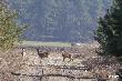 ...w samo po�udnie...