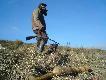Pogoda s�oneczna, a lisy i tak w norach.