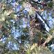 Balowa�o si� w nocy. 02-03-2013