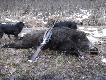  Stycze� 2013r. Ostatni w sezonie.... 