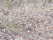 popo�udniowe wyj�cie w teren...i op�aca�o si�:)