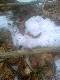 12.03.2013 zesz�oroczny �smak 