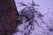 12.03.2013 r. 
Tak go znalaz�em.