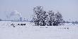 13-03-2013    Homanit Karlino po lewej, po prawej Kar�cino Ko�ci�. 