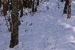 15,03,13r  Troche po�wieci�o s�o�ce to i zrzuty sie ods�oni�y . 14-stak 2,5kg