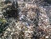 8-smak 17-03-2013r.