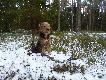 14.03.13 10-tak,przele�a� rok,lekko zielonkawy,ale w do�� dobrym stanie.