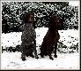 si�dma zona Arta - FLOOR-LUNA v.d. Slotbosse-Heide :)