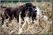 si�dma zona Arta - FLOOR-LUNA v.d. Slotbosse-Heide :)