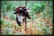 si�dma zona Arta - FLOOR-LUNA v.d. Slotbosse-Heide :)