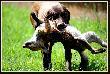 si�dma zona Arta - FLOOR-LUNA v.d. Slotbosse-Heide :)