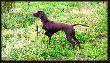 si�dma zona Arta - FLOOR-LUNA v.d. Slotbosse-Heide :)