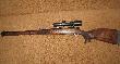 CZ 550FS 7x64 z DOT 1-4x24 od czterech sezon�w taki zestaw na zbior�wki