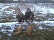 .Dwu godzinny wypad w �owisko. Liski  tak u�o�one ze wzgl�d�w etycznych.. DB Konrad 