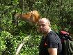 Spotkanie z �ani� w tatrach na trasie morskiego oka.