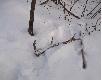 A tak wygl�da z bliska
