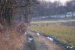...to ju� dzisiejszy spacer  w moim �owisku..