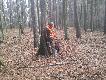 Polowanie komercyjne K� Omin