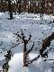 28.03.13 jak go wyci�gne�em , to si� si� okaza�o , �e to nawet �adny 12-stak.