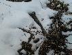 31.03.13 tak w przerwie w siedzeniu przy stole i szustaczek okaza� si� zgub� do kompletu